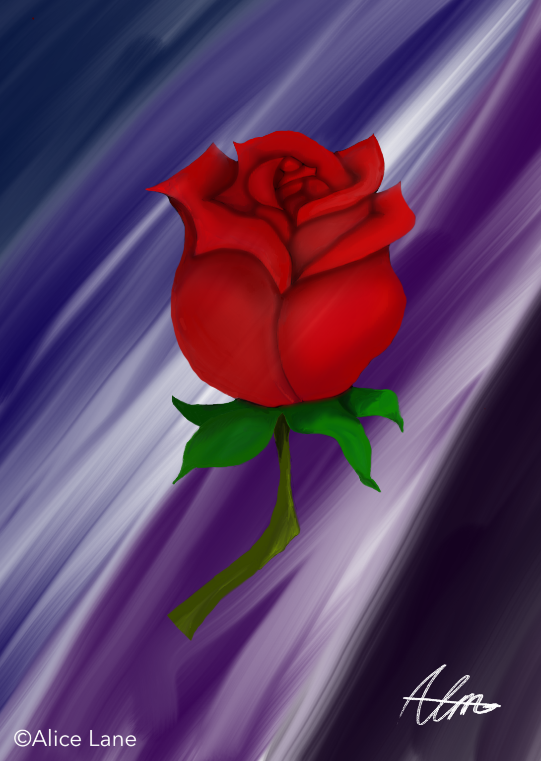 Rose