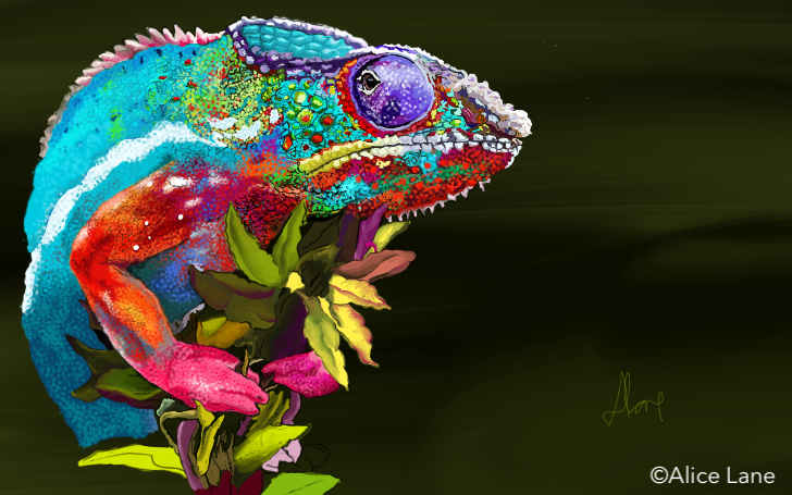 A colourful cameleon